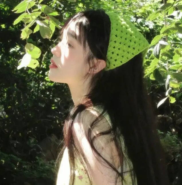 豺狼